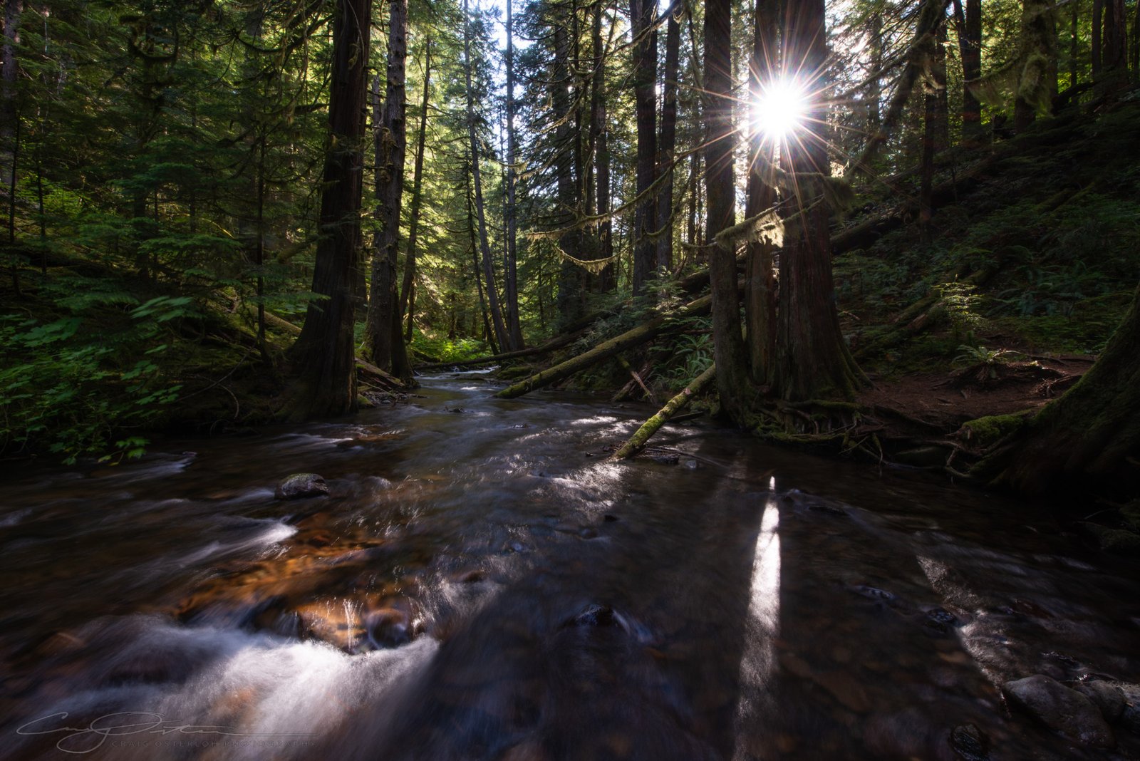 Oregon
